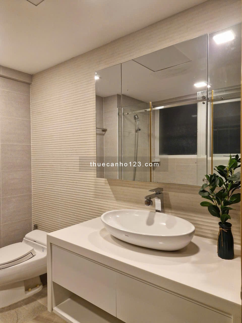 Cho thuê căn hộ Happy valley, Nguyễn Văn Linh, Phú Mỹ Hưng, Q.7, Tp.HCM, LH: 0943783383 LAN