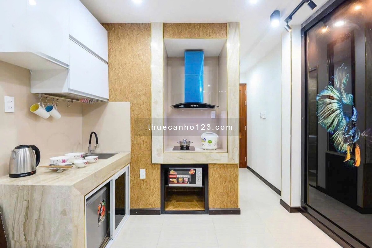 CHDV Full Nội Thất Ngay Võ Văn Kiệt, Cầu Nguyễn Văn Cừ, Hotel PullMan Q1