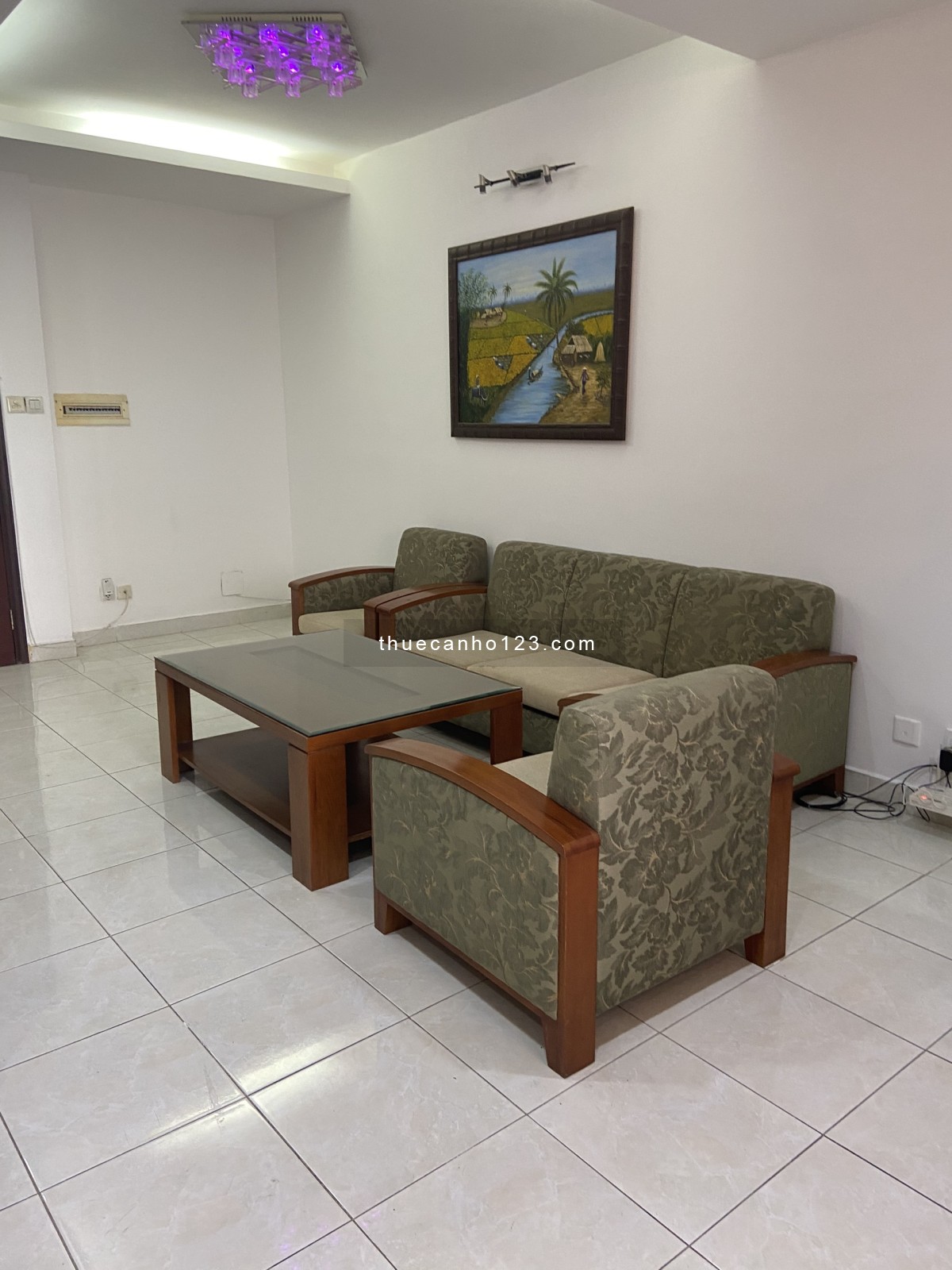 Căn hộ Central Garden, 328 Võ Văn Kiệt, Q.1, ngay chợ Nga, 80m2, 12tr