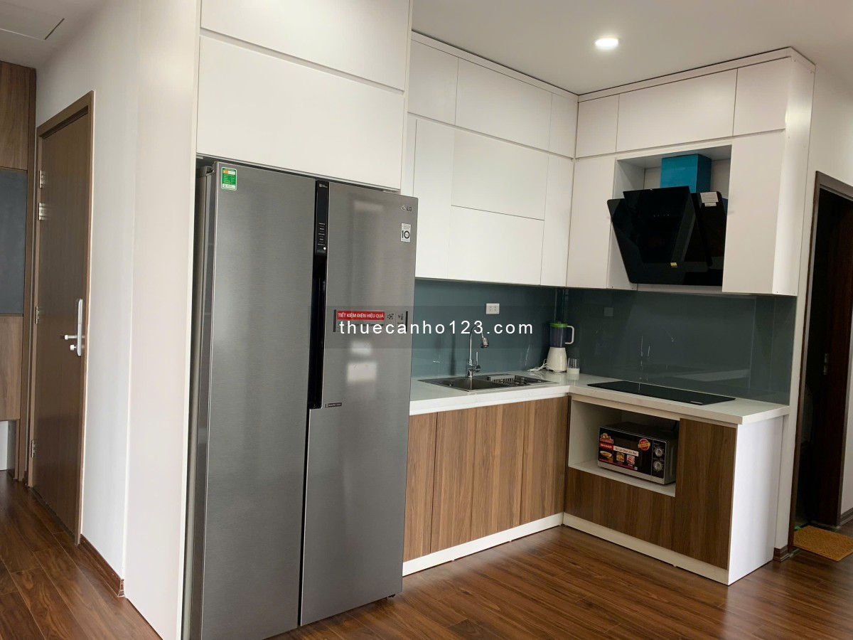 Cho thuê quỹ căn hộ D'capitale Trần Duy Hưng nhà đẹp, giá rẻ
