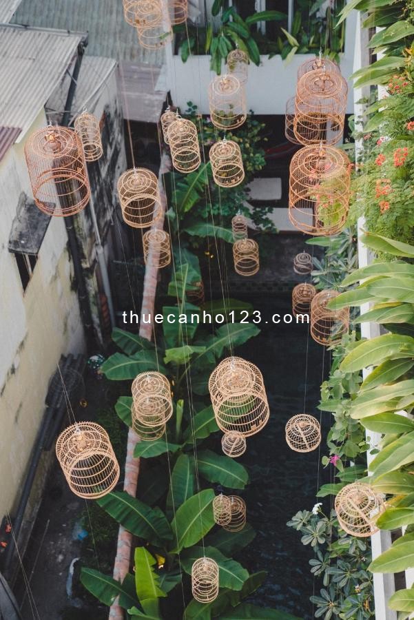 Căn hộ dịch vụ Hồ Bơi khu yên tĩnh ngay Hoàng Hoa Thám Bình Thạnh