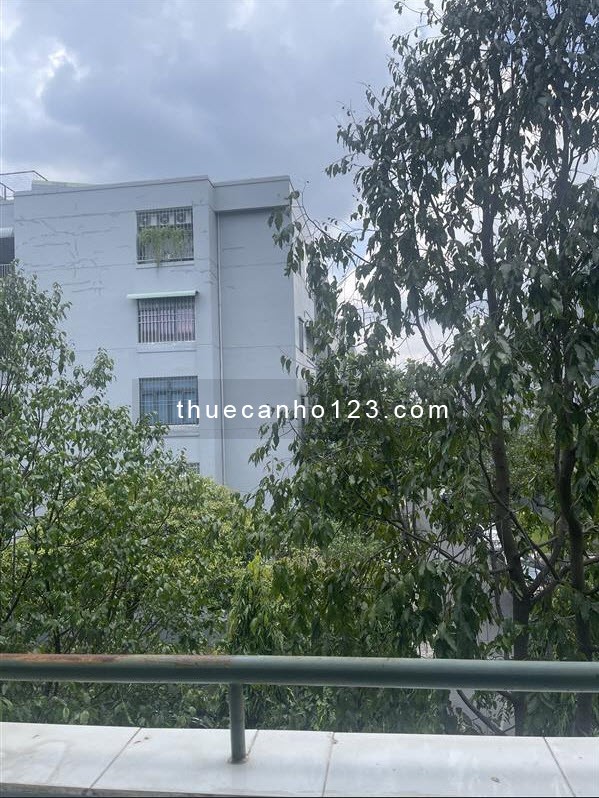 Cho thuê căn hộ chung cư Bason, 02 Lê Đức Thọ, P.7, Gò Vấp 60M2, Gần trường học, siêu thị, bệnh viên