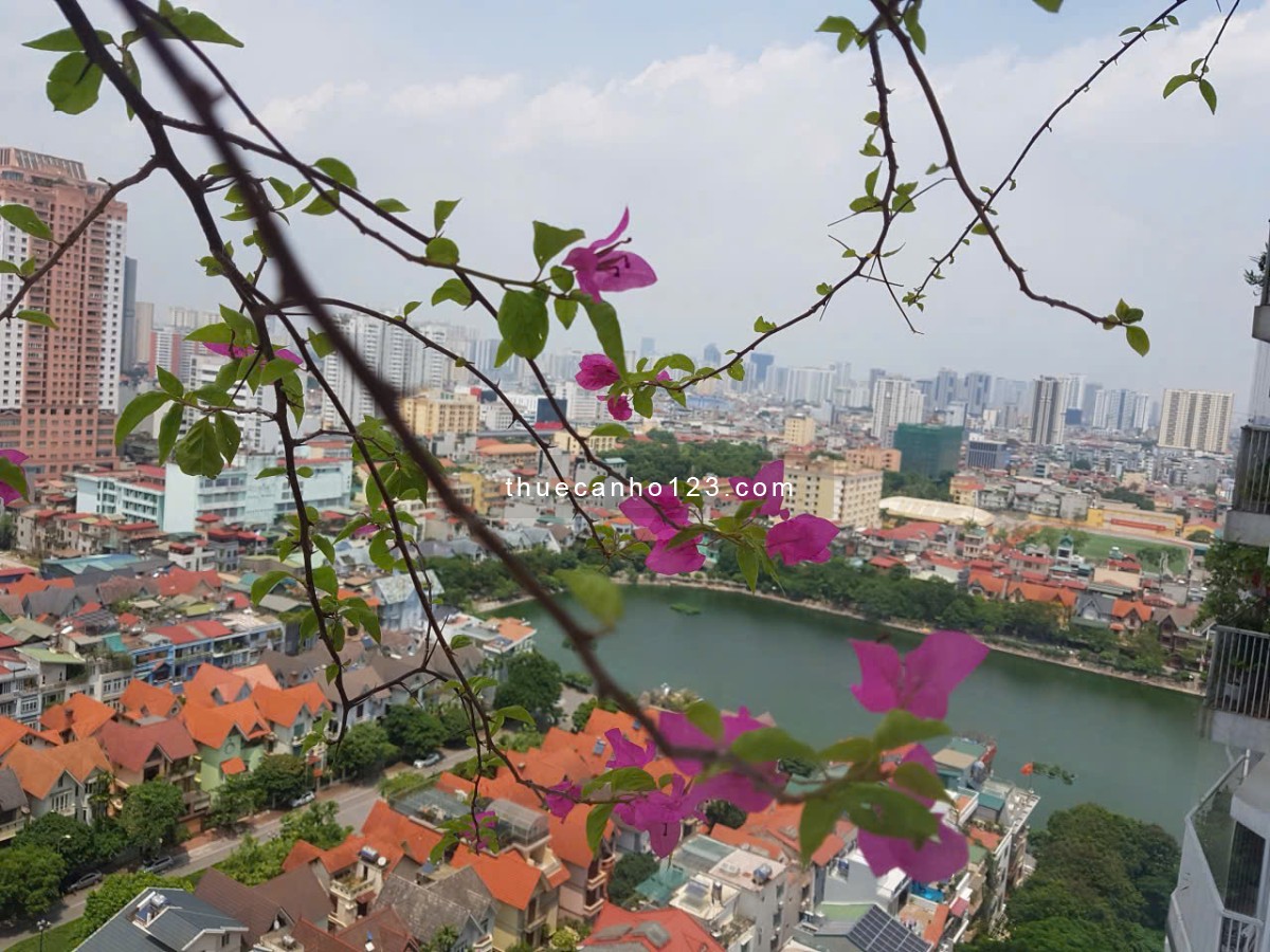 Cho thuê căn hộ 3PN tòa New Skyline view hồ rất đẹp