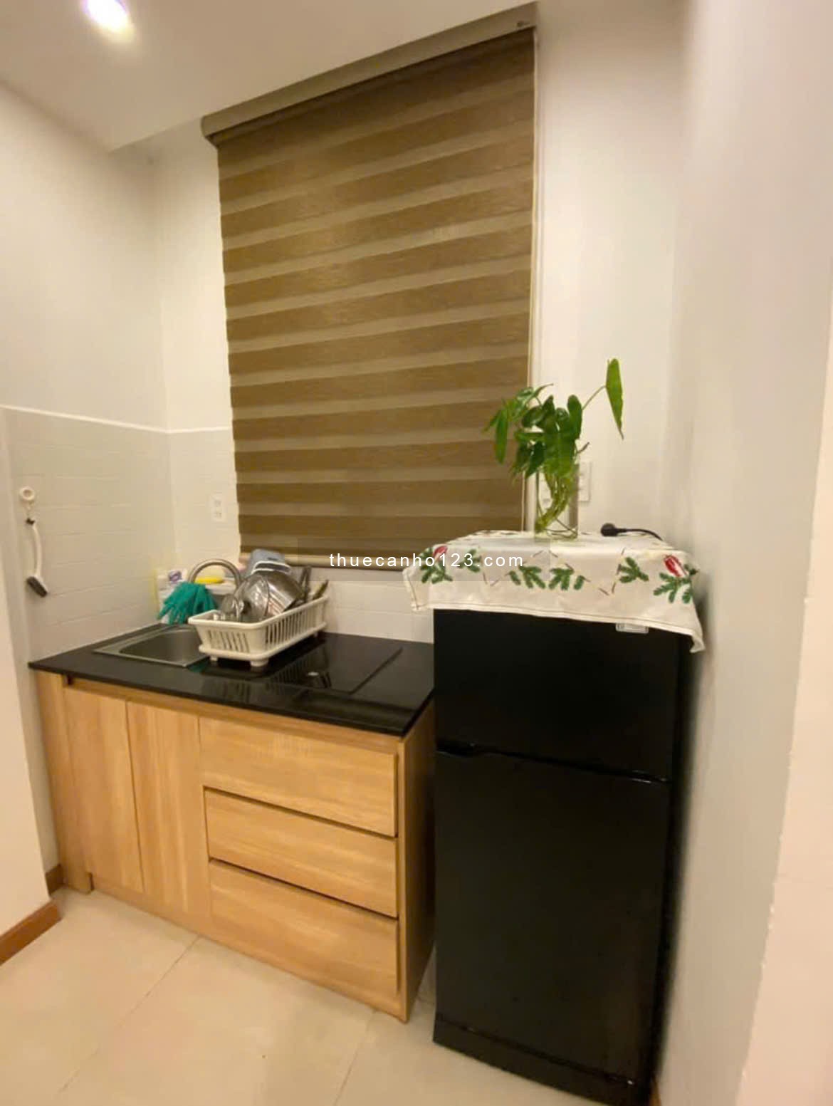 Cho thuê CHDV, Studio, Lê Hồng Phong, P12, Q10, 5tr5/tháng, 20m2