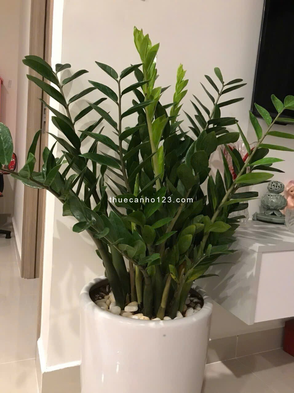 Cho thuê căn hộ 1PN+ đẹp full đồ tại tòa S2.08 Vinhome Ocean Park