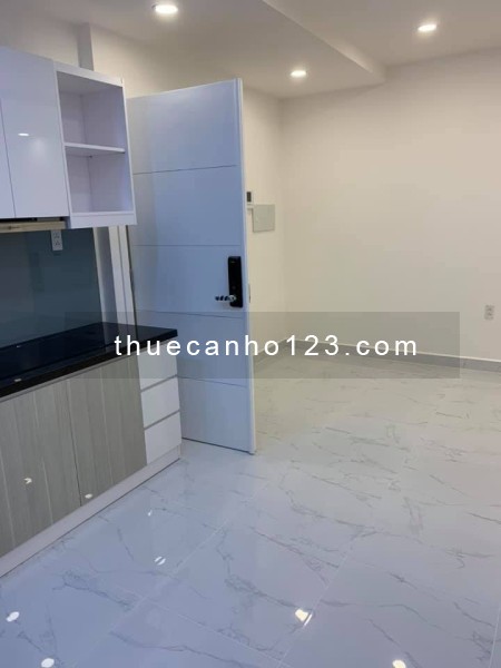 Cho Thuê Căn Hộ Chung cư Terra Royal, Q3, 58m2, 2pn 1wc, NTCB giá 17tr/tháng Lh 0933481089