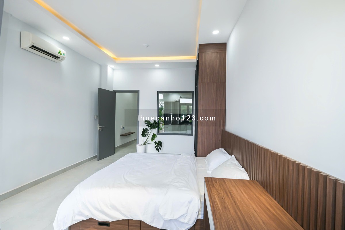 Cho thuê căn hộ cao cấp quận 1, 1PN 65m2, Ban công, view Công viên, Lê Văn Tám, Gần Hồ Con Rùa