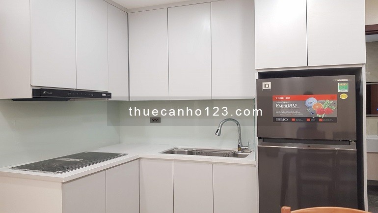 Cho thuê căn hộ dịch vụ mới tinh tại Đội Cấn, Ba Đình, 70m2, 2PN, đầy đủ nội thất đẹp hiện đại