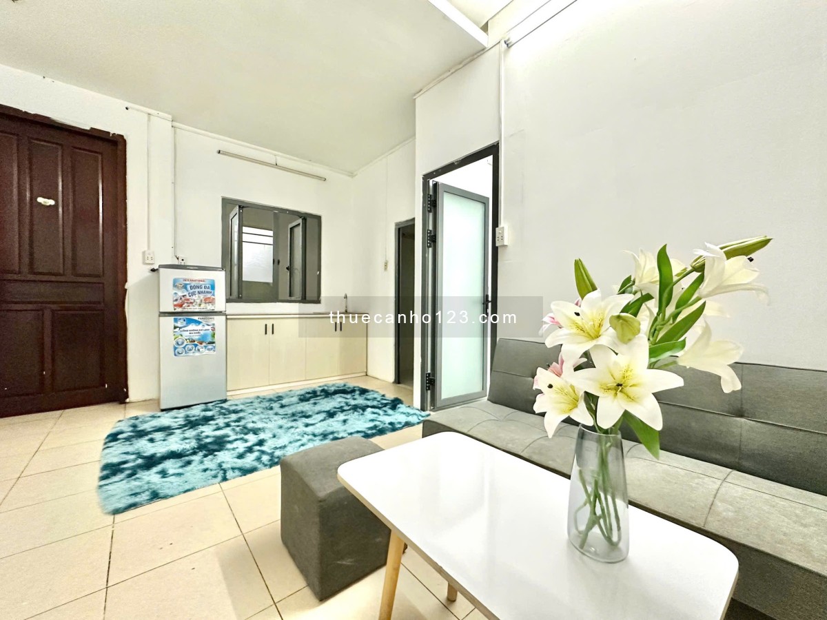 Cho thuê CHDV 1PN tách bếp full nội thất Hồng Hà, P.2, Tân Bình (gần CV Gia Định)