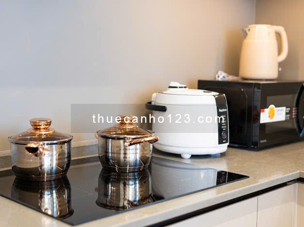 Cho thuê căn hộ 2PN Metropole Thủ Thiêm full nội thất đẹp view sông thành phố tầng cao