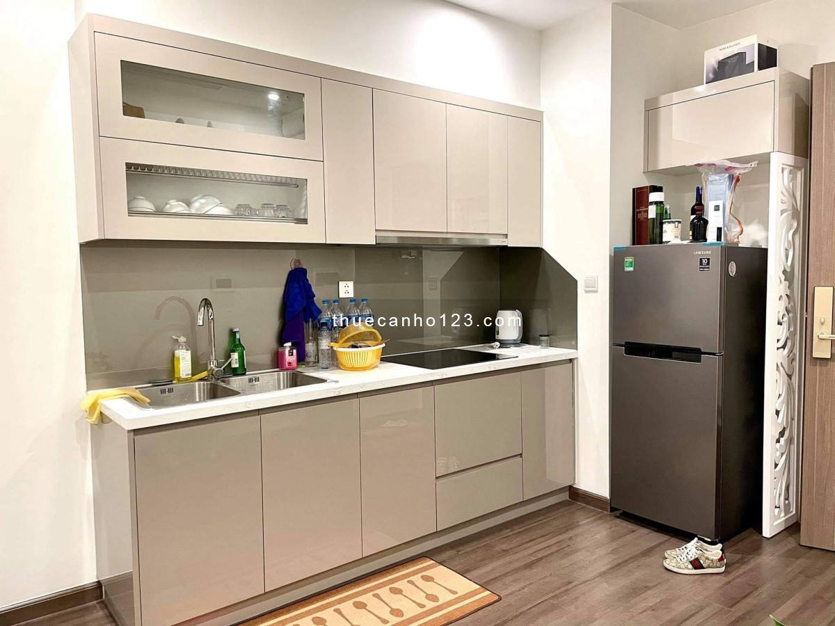 Cho thuê căn hộ Symphony 1PN1PK 40m2 full đồ giá chỉ 11tr. LH 0967341626