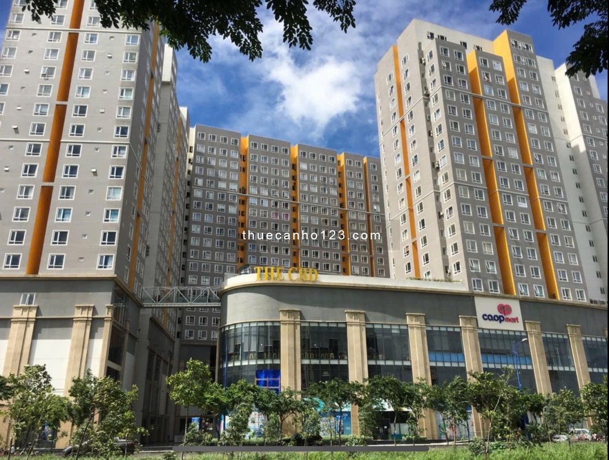 Cho thuê căn hộ 3PN, full nội thất cao cấp