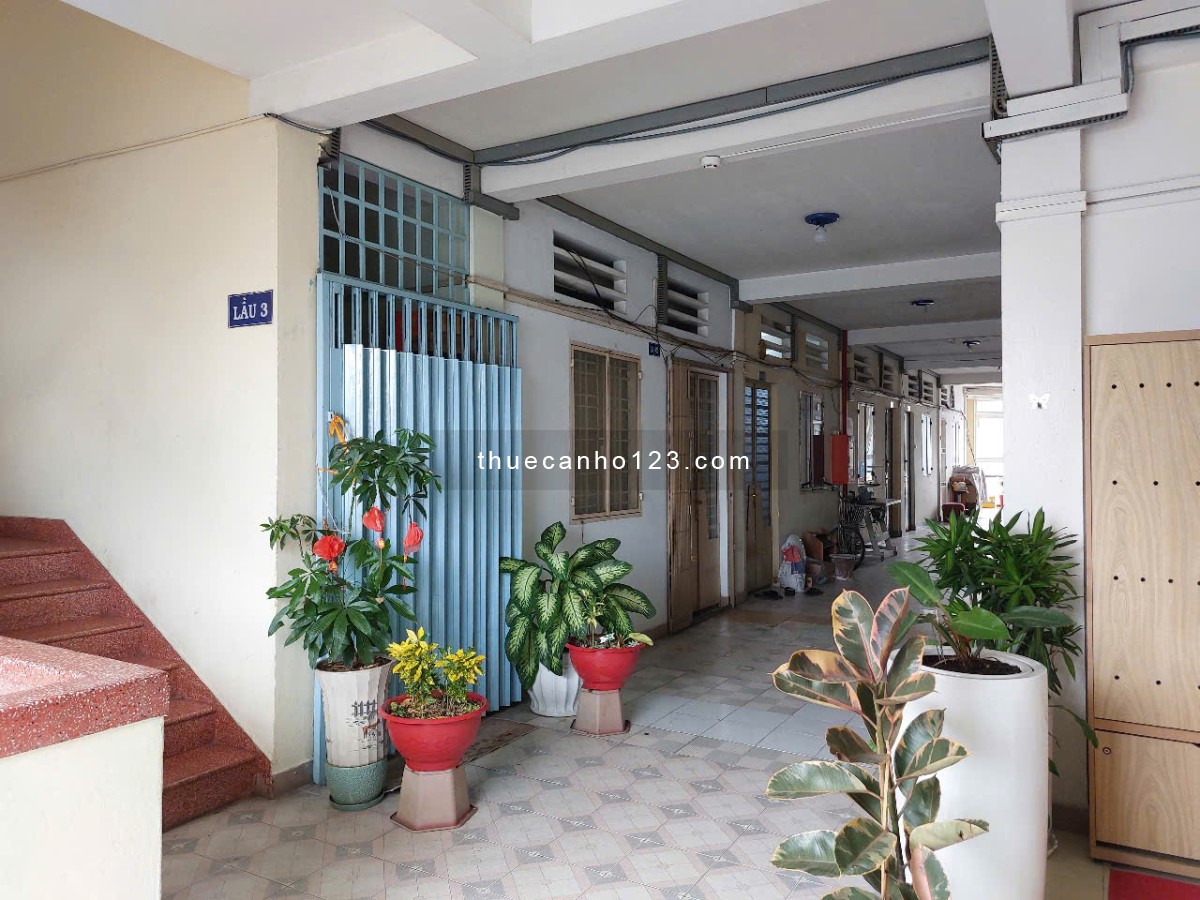 Cho Thuê Chung Cư 1PN Quận 1 Giá Rẻ - Chính Chủ