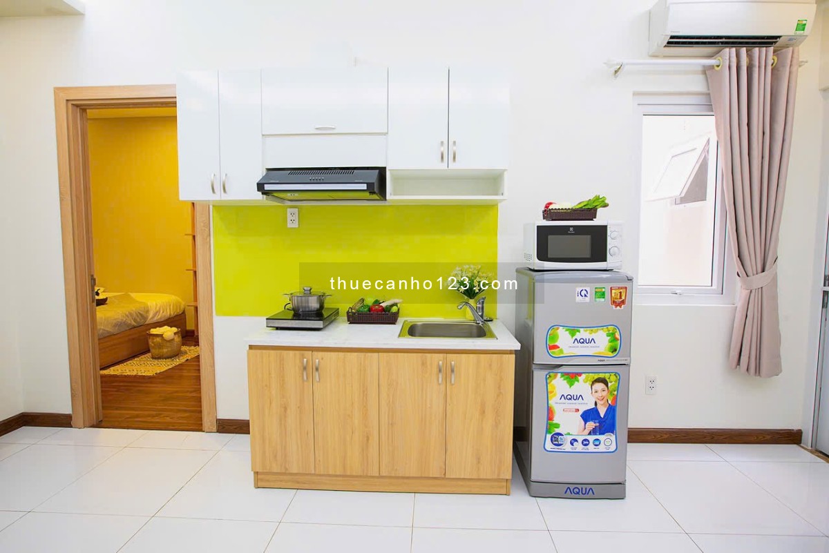 Cho thuê căn hộ 1PN tại toà nhà Căn hộ dịch vụ Đặng Dung, thang máy, hầm xe, BV, an toàn tại Quận 1