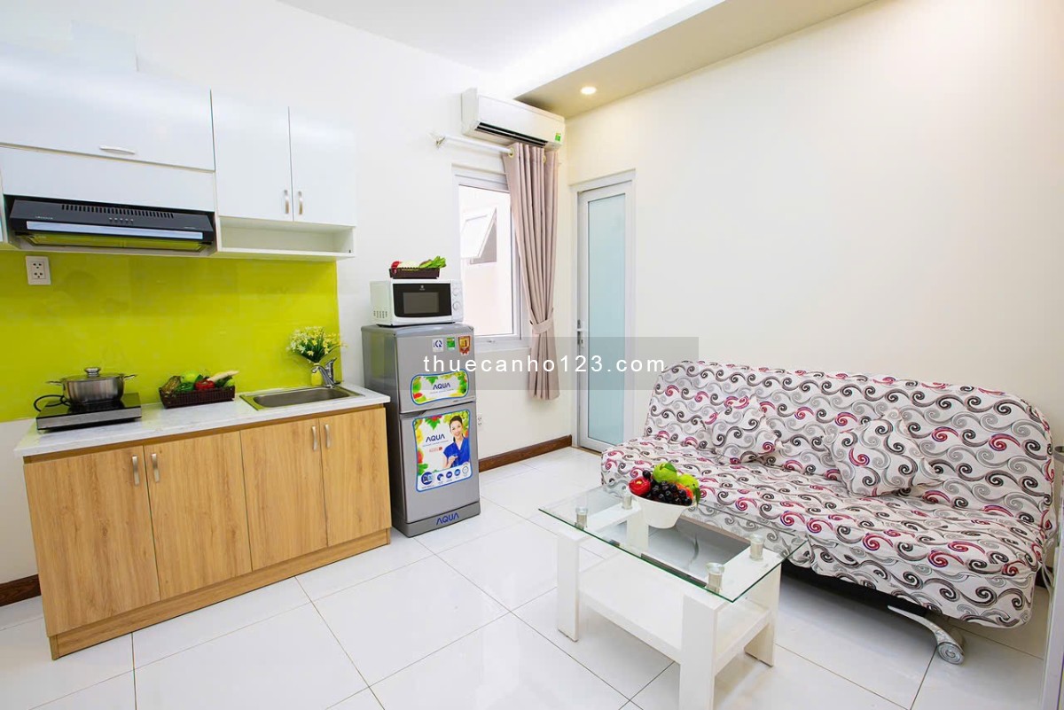 Cho thuê căn hộ 1PN tại toà nhà Căn hộ dịch vụ Đặng Dung, thang máy, hầm xe, BV, an toàn tại Quận 1