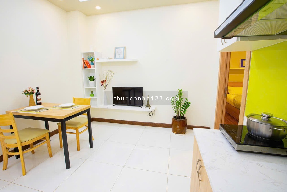 Cho thuê căn hộ 1PN tại toà nhà Căn hộ dịch vụ Đặng Dung, thang máy, hầm xe, BV, an toàn tại Quận 1