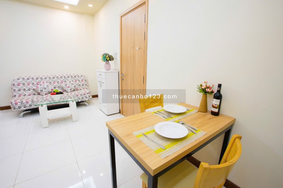 Cho thuê căn hộ 1PN tại toà nhà Căn hộ dịch vụ Đặng Dung, thang máy, hầm xe, BV, an toàn tại Quận 1