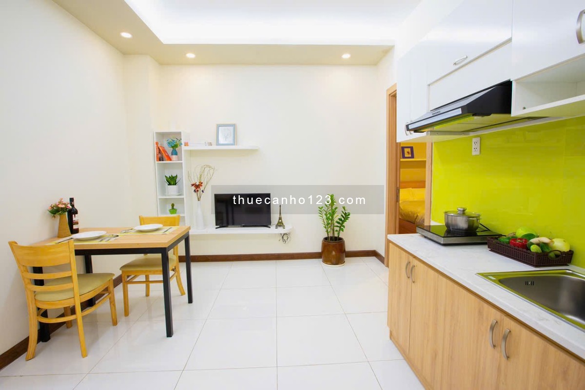 Cho thuê căn hộ 1PN tại toà nhà Căn hộ dịch vụ Đặng Dung, thang máy, hầm xe, BV, an toàn tại Quận 1