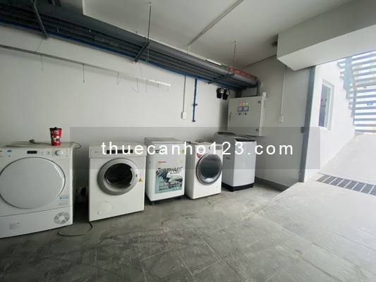 Studio diện tích 40m2 nội thất hiện đại - Nuôi pet - Thang máy - Đẹp như hình