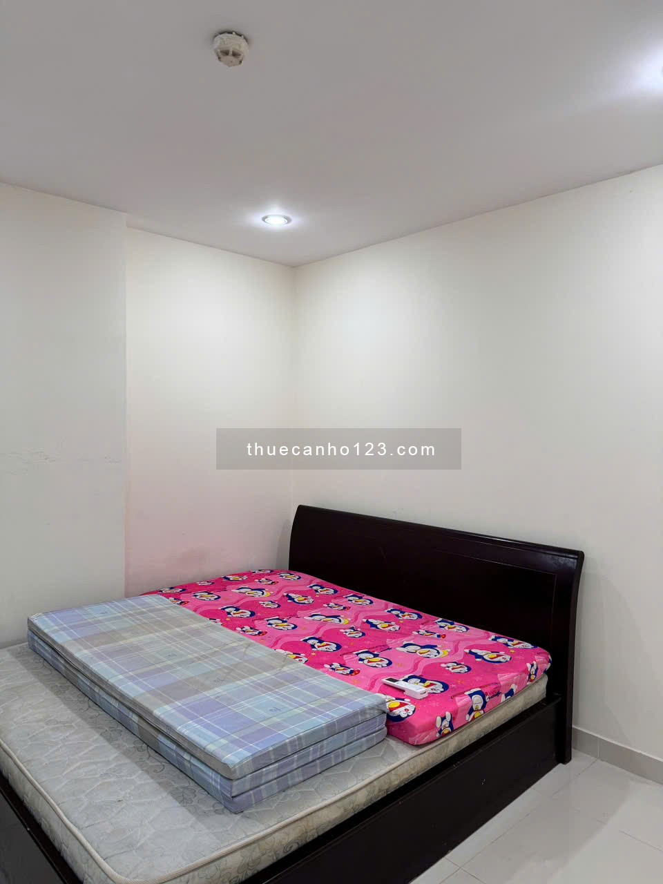 Tôi cần cho thuê CH Terra Rosa 80m2 - 2 PN giá 6,5 tr/th ở KDC 13E Intresco, Bình Chánh