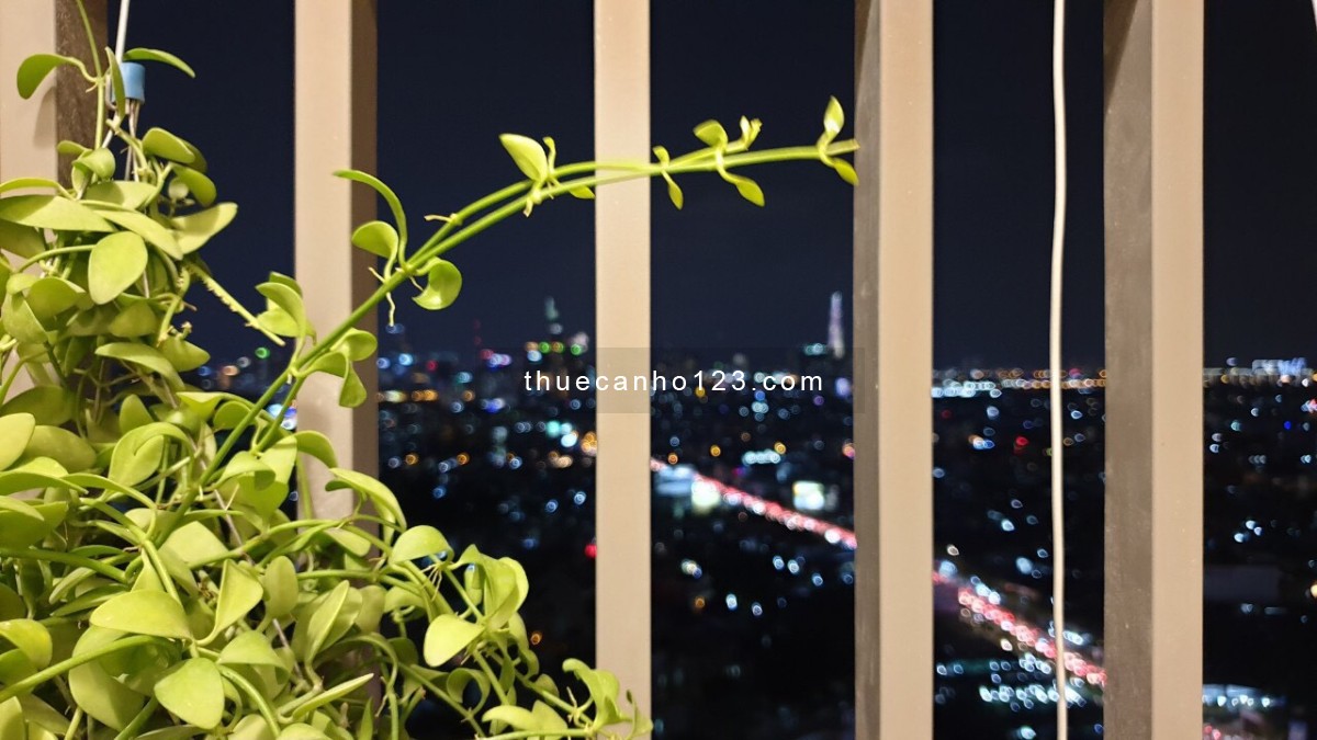 Cho thuê căn hộ Sunrise City view, Quận 7, 2PN 1WC 16 triệu nhà đẹp