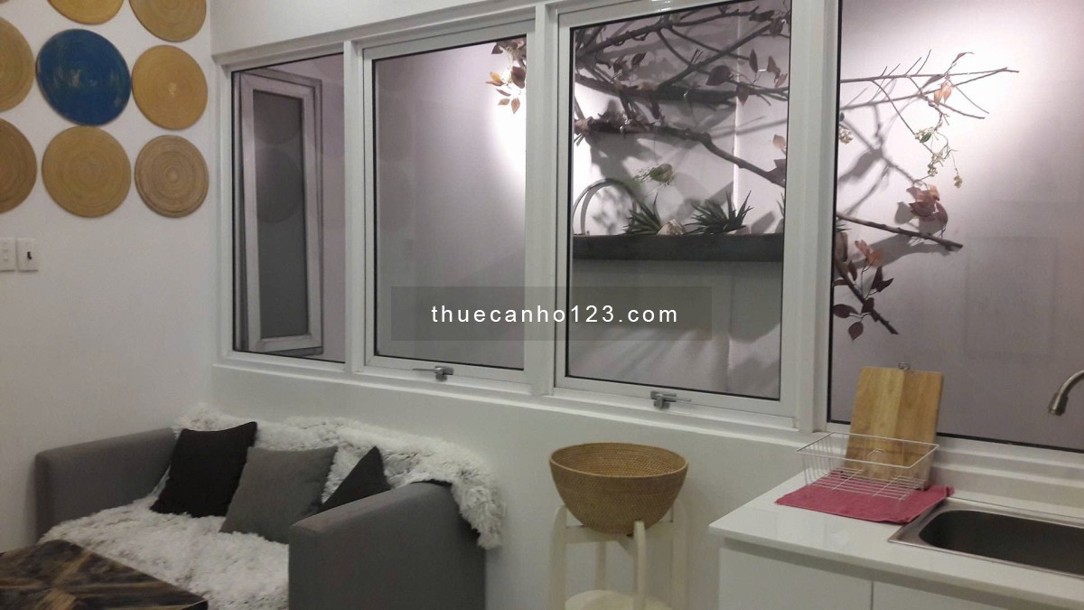 Cho thuê căn hộ 1PN ngay trung tâm quận 1 - DT 55m2 - Gần Chợ Tân Định, Horizon Tower, CV Lê Văn Tám