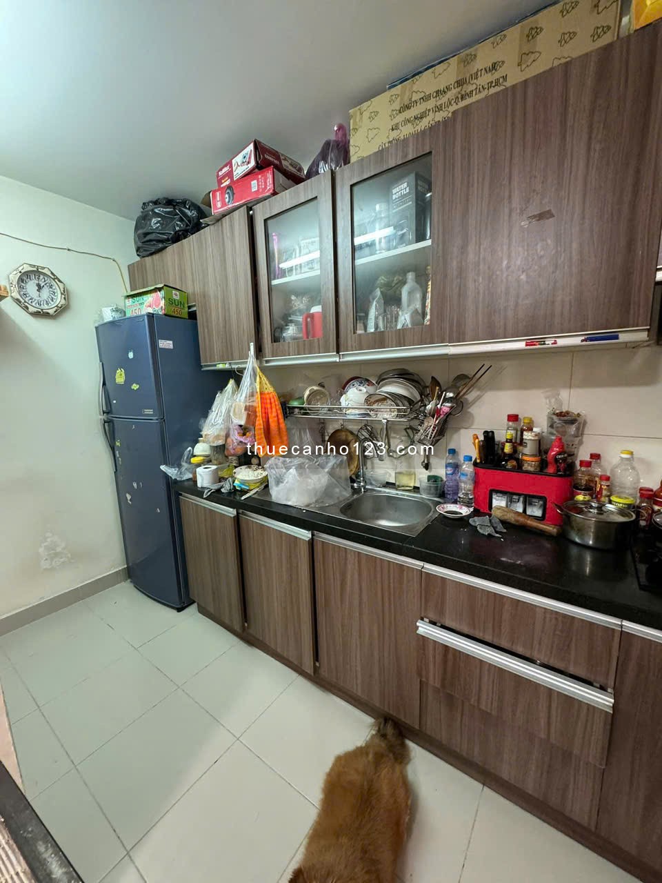 Chung cư Khang Gia, Phan Huy Ích, GV: 65m2, 2p ngủ 6tr/tháng