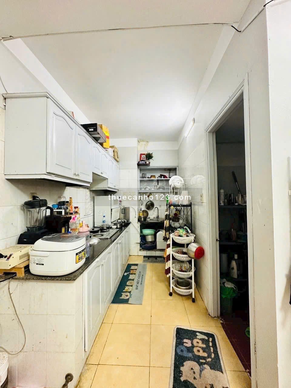 Chung cư Bàu cát, 3PN, 2WC, Nội thất, Hồng Lạc, Tân Bình, 100m2, 10tr