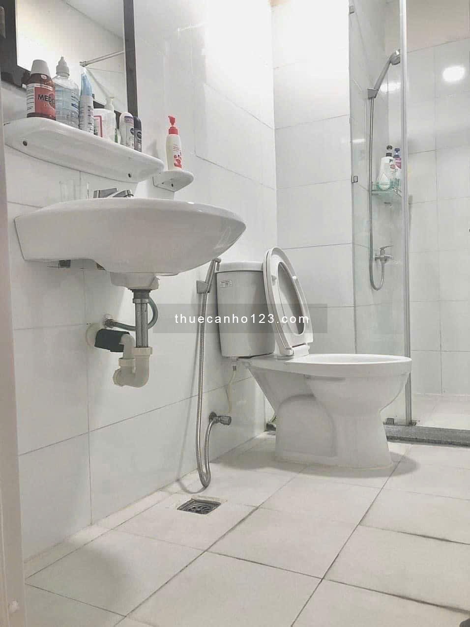 Chung cư Đại Thành, Trịnh ĐÌnh Trọng, TP: 2p ngủ, 2wc, 7tr/tháng