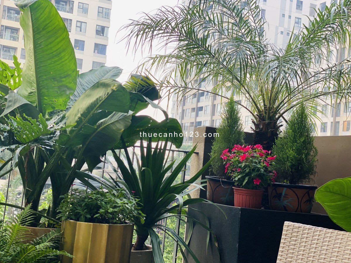 Cho thuê căn hộ Akari 2PN 2VS có bancol full nội thất cao cấp giá 12 triệu/tháng nhận nhà cuối tháng