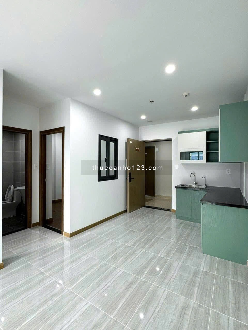 Cho thuê chung cư 2 phòng ngủ IDICO Tân Phú liền kề Đầm Sen