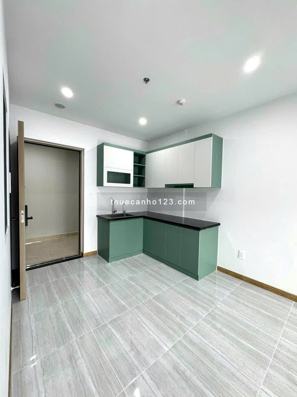 Cho thuê chung cư 2 phòng ngủ IDICO Tân Phú liền kề Đầm Sen