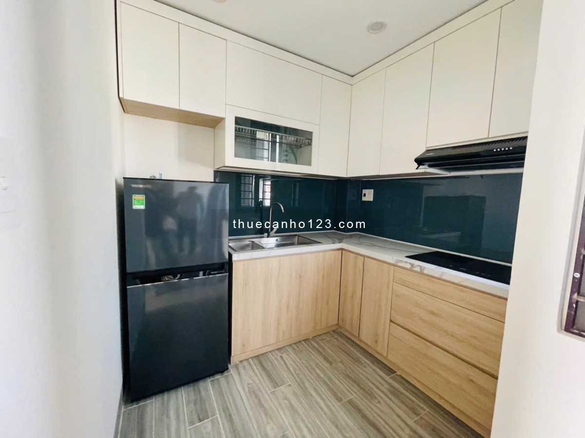 Cho thuê căn hộ đầy đủ nội thất, vào ở ngay, đường Nguyễn Văn Linh sát cầu Rồng