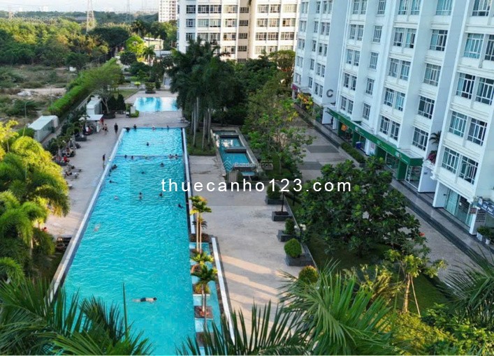 Cho thuê chung cư Phú Hoàng Anh 200m2 4PN, nội thất cơ bản