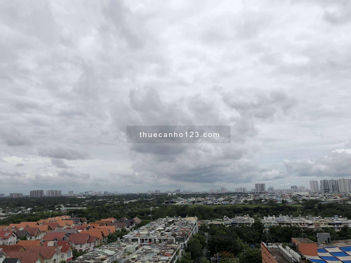 Cho thuê Căn hộ Hồng Lĩnh Plaza H.Bình Chánh, Dt : 81 m2, 2PN, Giá : 9.5 tr/th