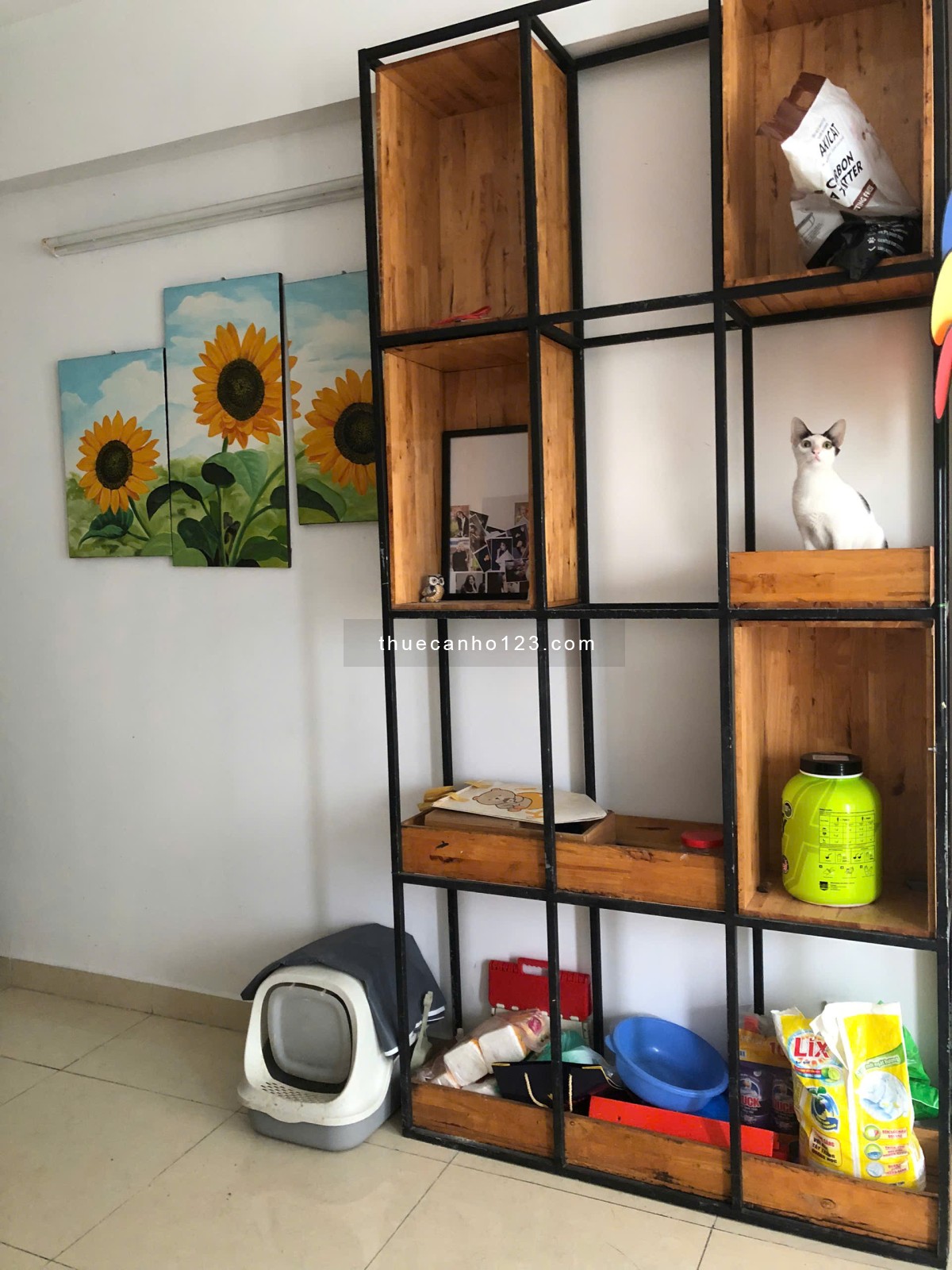 Cho thuê căn hộ Idico Tân Phú, giá 8tr, 2 phòng ngủ