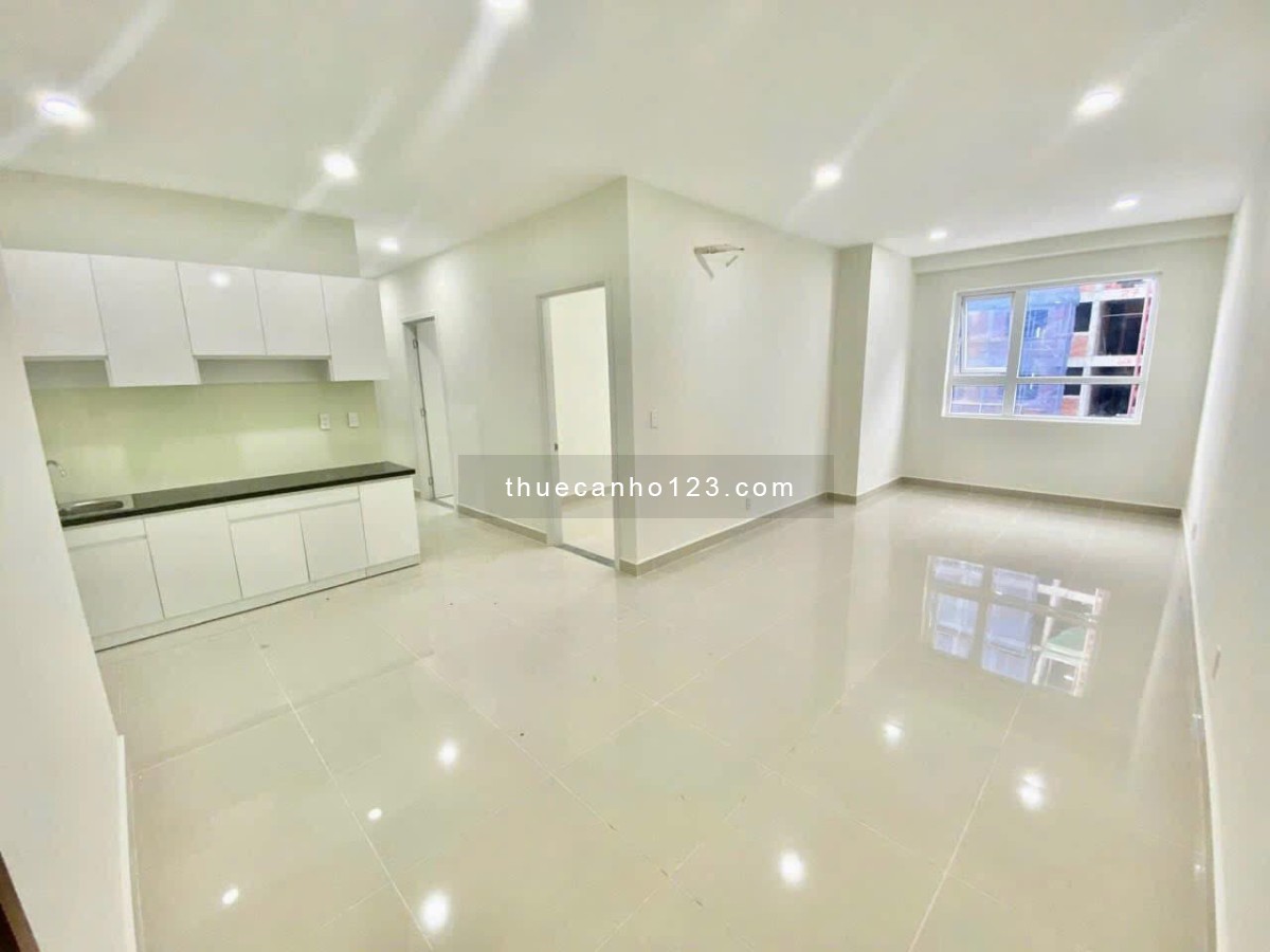 Cho thuê căn hộ topaz elite quận 8 ngay cầu nguyễn chi phương - nguyễn văn cừ Q5 2pn - 3pn