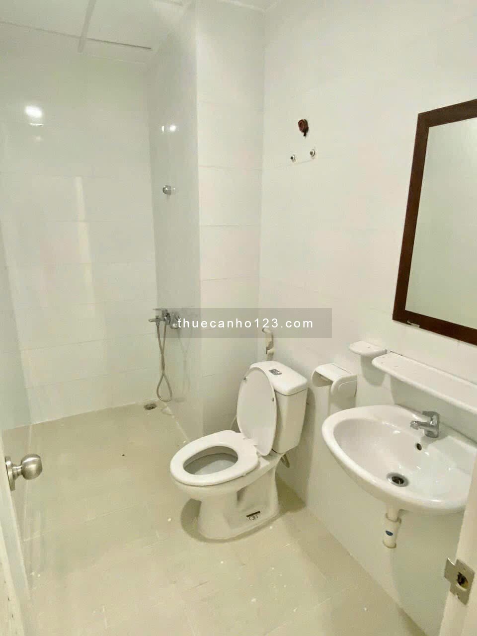 Cho thuê căn hộ topaz elite quận 8 ngay cầu nguyễn chi phương - nguyễn văn cừ Q5 2pn - 3pn