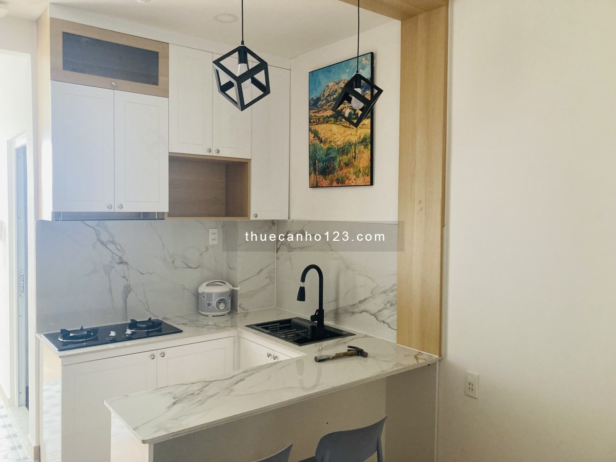 Cho thuê căn hộ mini tại trung tâm Đà Lạt