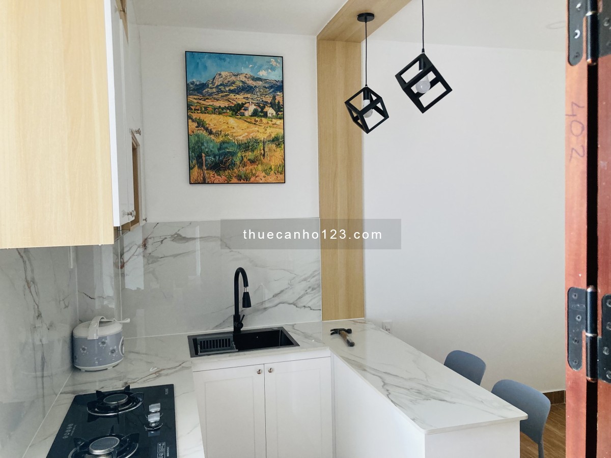 Cho thuê căn hộ mini tại trung tâm Đà Lạt