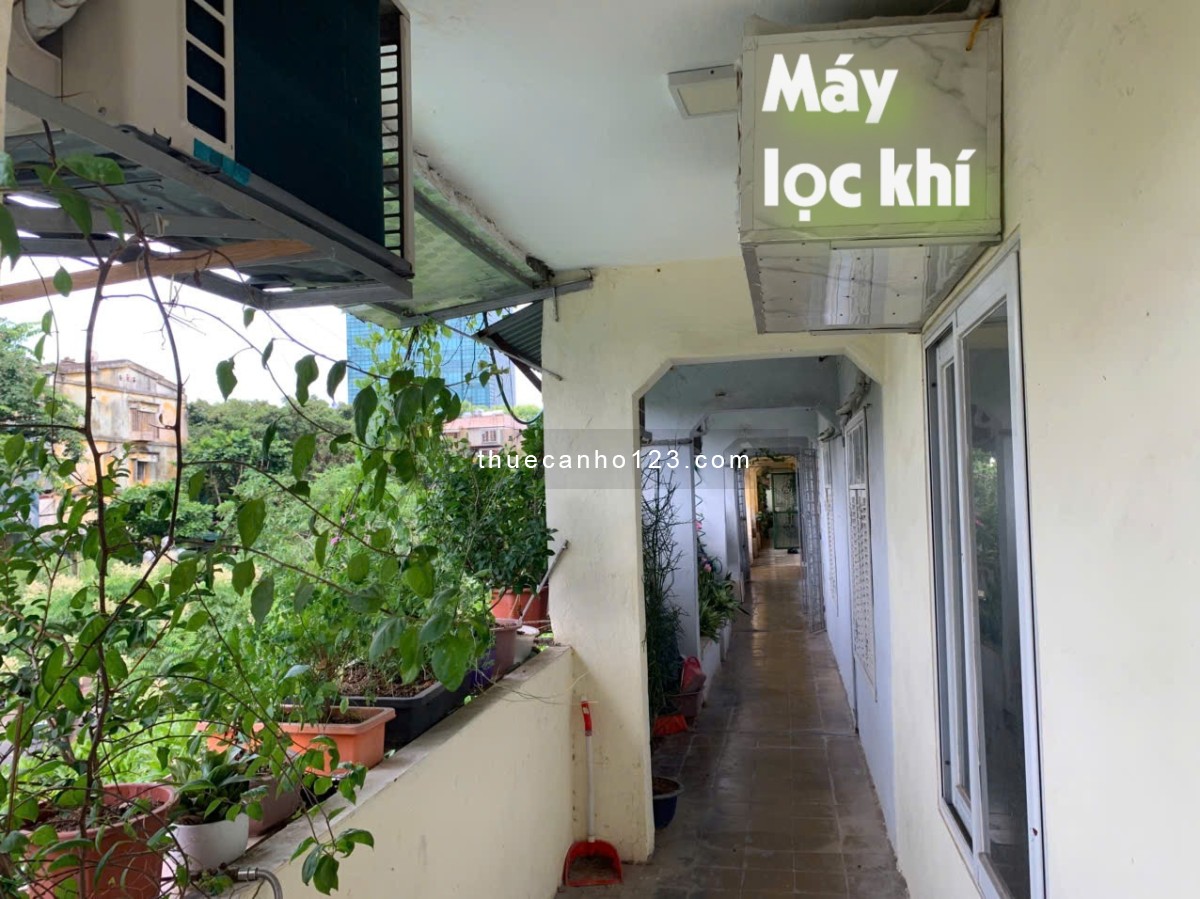 Chính chủ cho thuê căn hộ 3 phòng 60m đủ nội thất D1 Giảng Võ