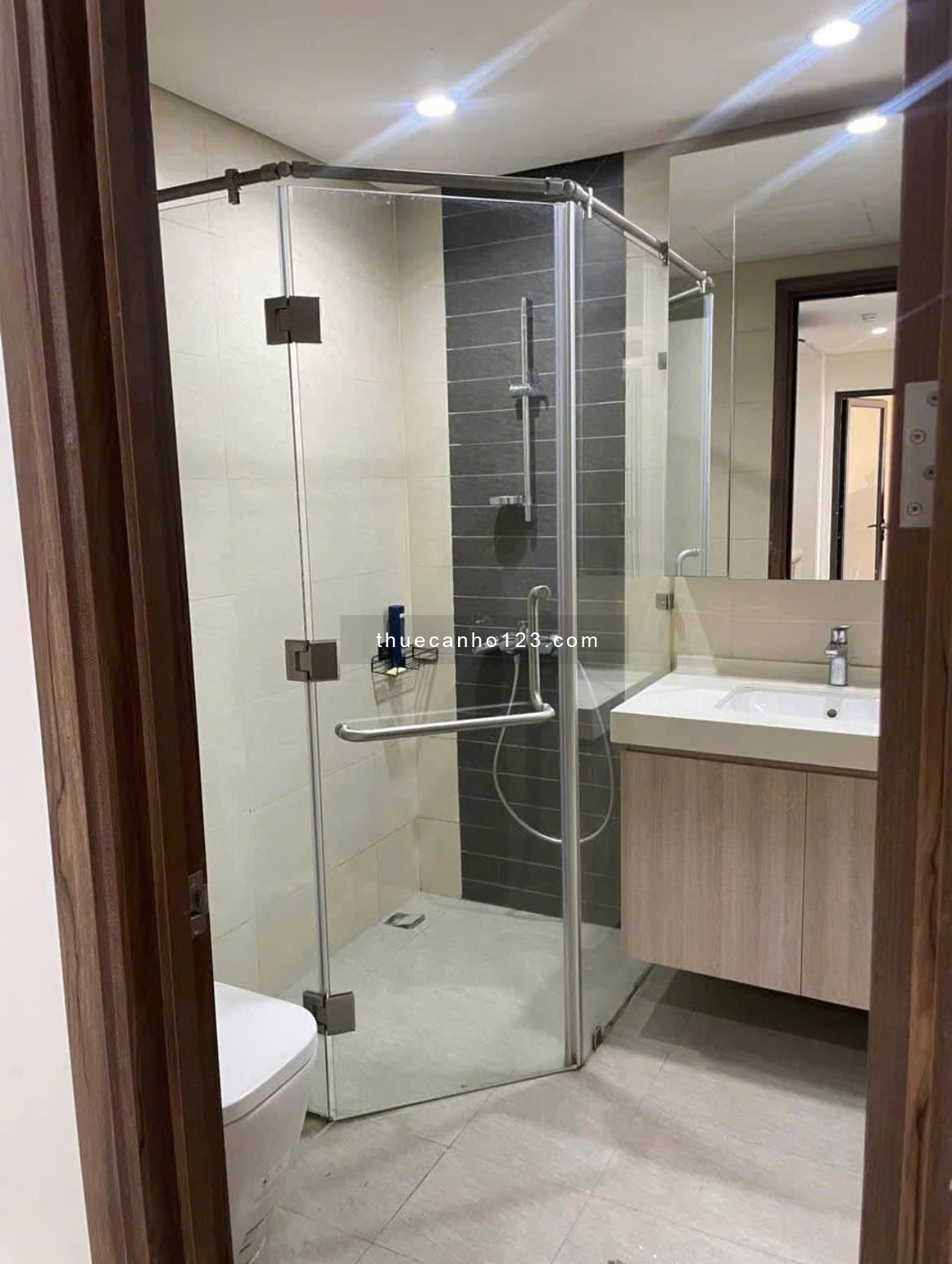 Topaz Garden, Trịnh Đình Thảo, Tân phú: căn 2p ngủ, 1wc, Nt, 9tr5/th