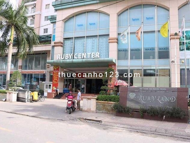 Cho thuê căn hộ Ruby Land 04 Lê Quát - Quận Tân Phú: 117m2, 3pn, 3wc,Nội thất cơ bản, Giá 11tr/th TL
