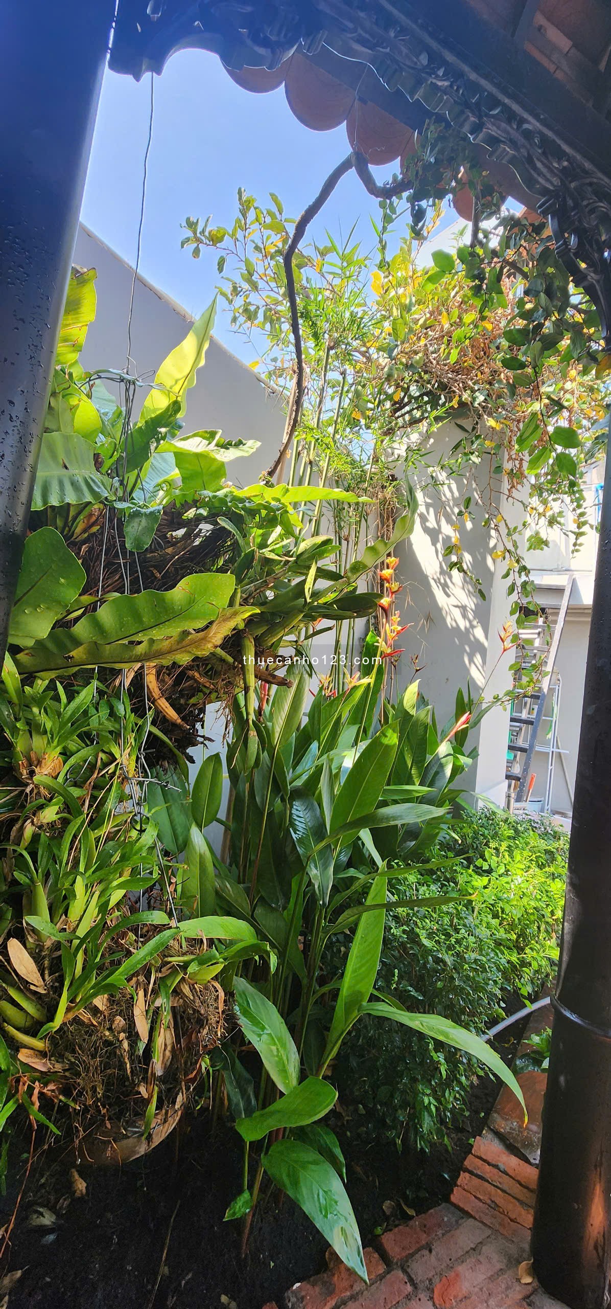 Cho thuê căn hộ Sky Garden 2, Phú Mỹ Hưng, Q. 7 nhà 4PN, 4WC, DT: 325m2 giá 65 triệu