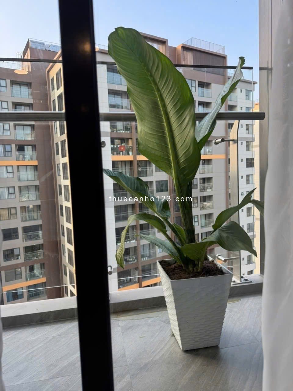 Chung cư Orchard Parkview P9, Phú Nhuận: NTCC, 2p ngủ, 75m2, 17tr/th