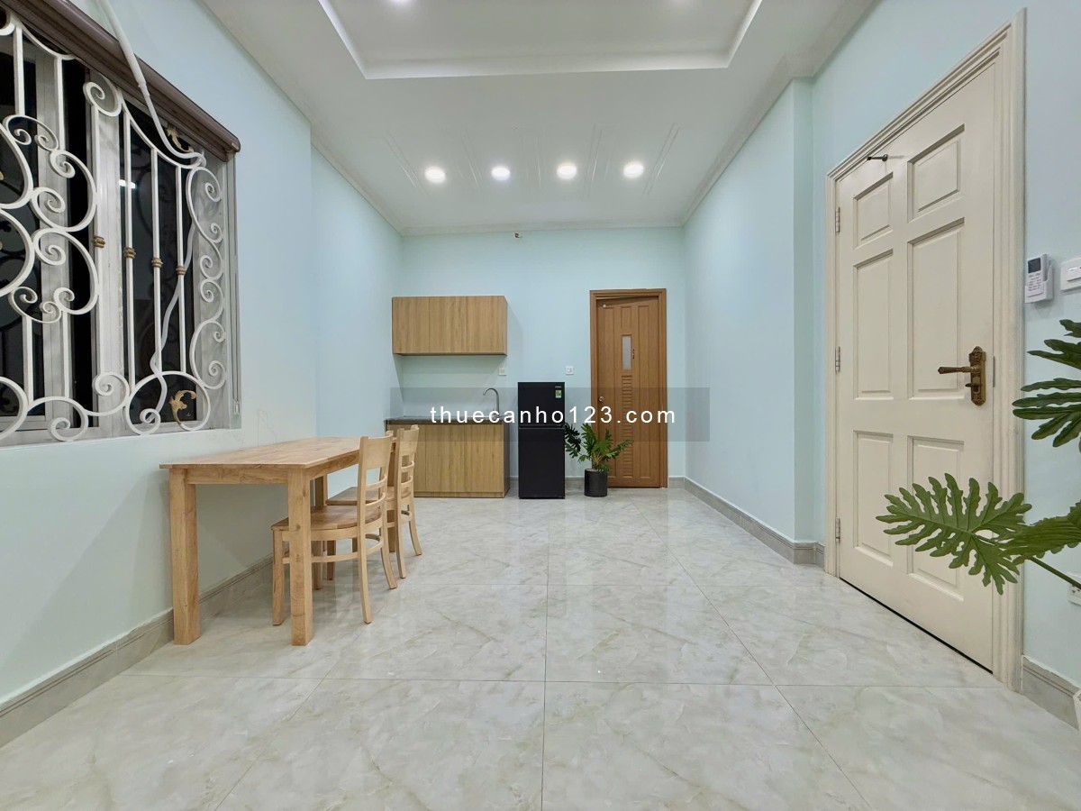 Biệt thự cho thuê Studio - 1PN - 2PN full nội thất