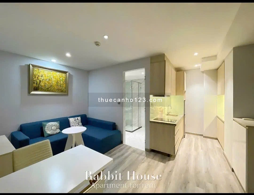 1 PN tách bếp, ban công, full nội thất hiện đại sofa, gần đường Ngô Tất Tố, Huỳnh Mẫn Đạt,Q1,Q3