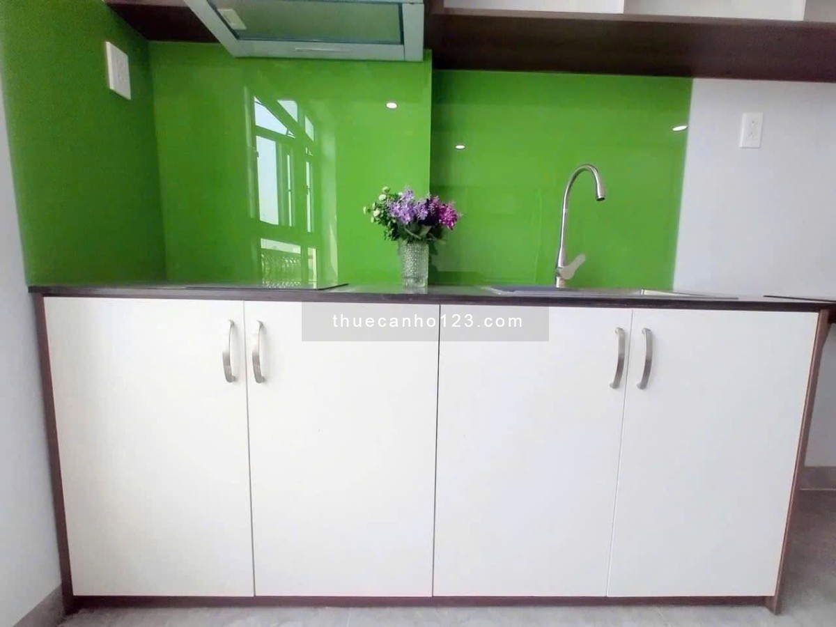 Chung cư Richmond, Nguyễn XÍ, BT: full nt mới, 45m2, 1p ngủ, 11triệu