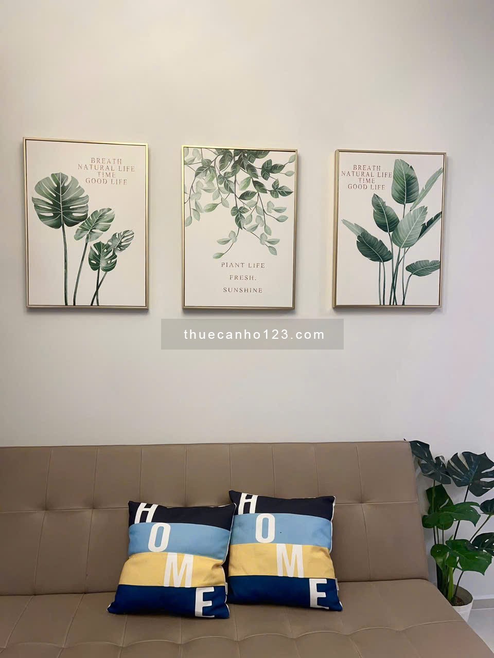 CC Carillon 5, TP, đường Luỹ Bán Bích có 2pn 2wc, ban công, nt mới, 12tr