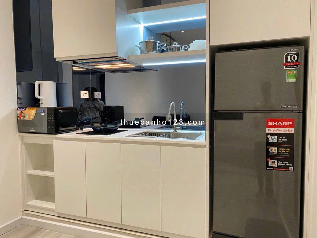 Cho thuê căn hộ Luxury - 30m2 - Ngay Landmark 81 - Cách Metro Tân Cảng 100m